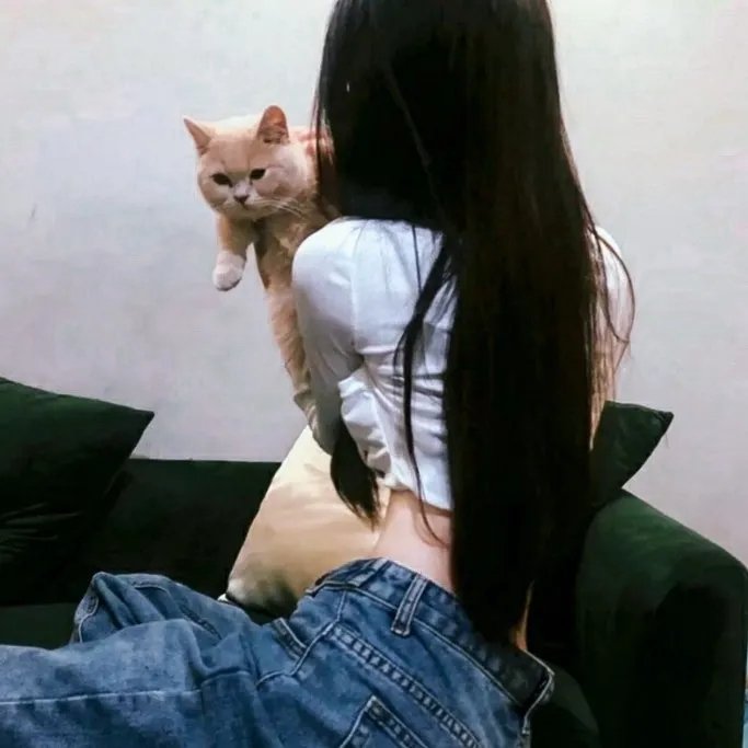 觅影记