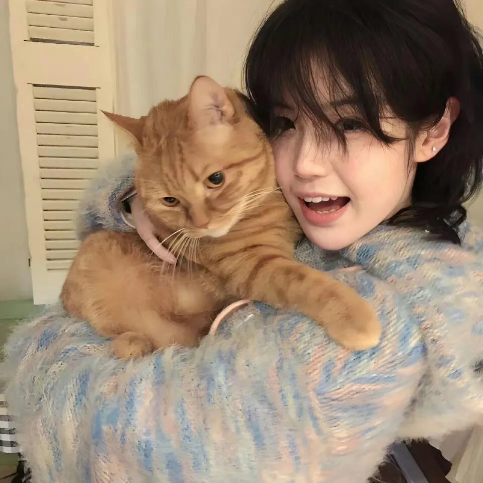 好莱坞式结局